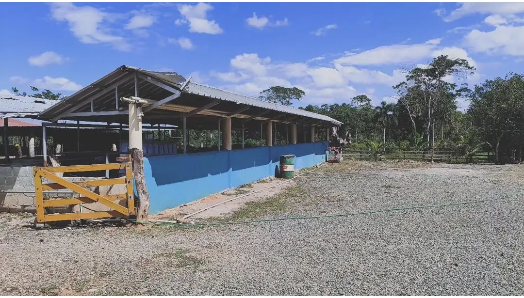 Finca de 896 tareas ganaderas con vocación agrícola totalmente llana a Foto 7281448-5.jpg