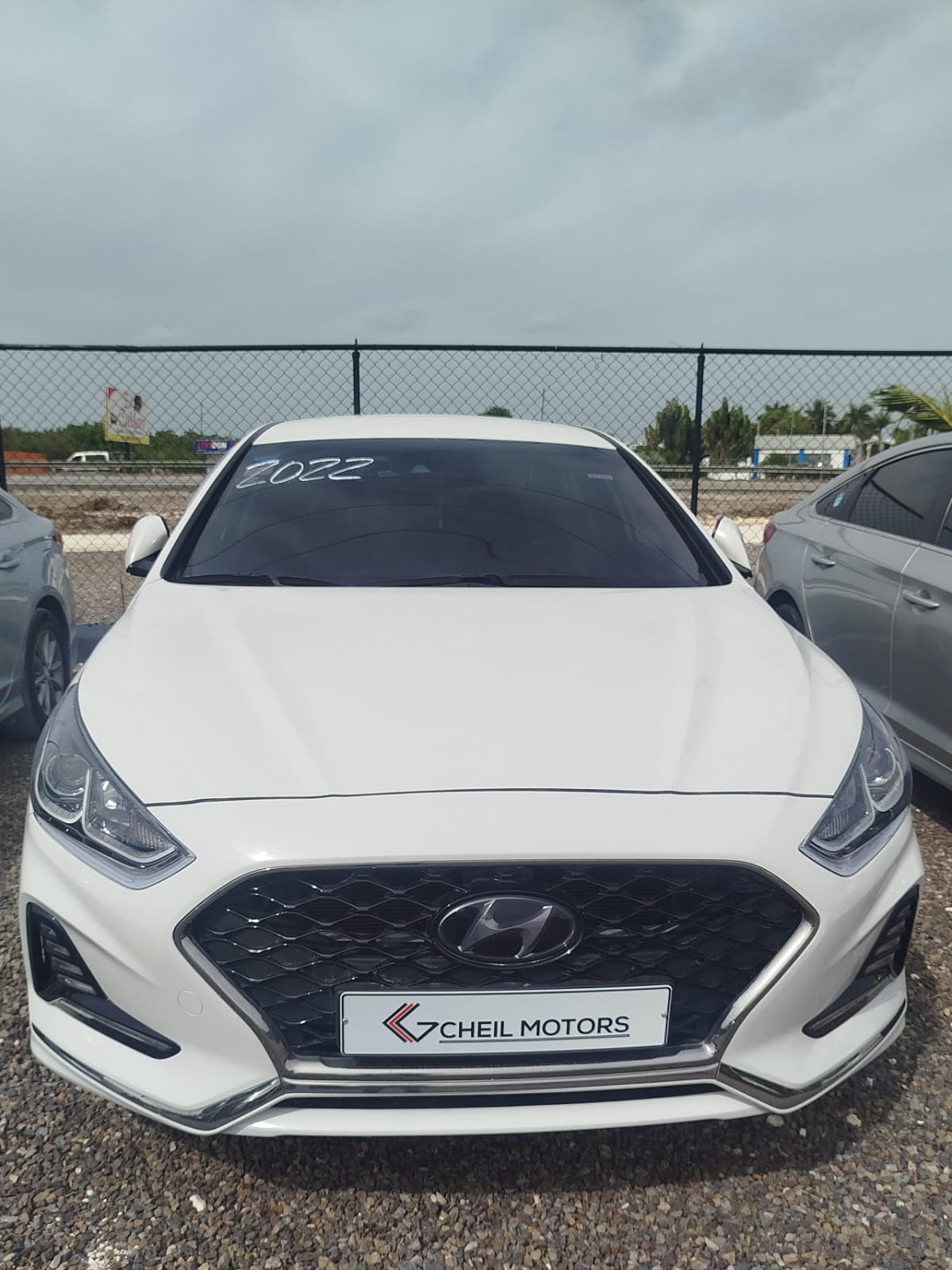 SONATA NEW RISE 2022  en La Altagracia Foto 7281701-2.jpg