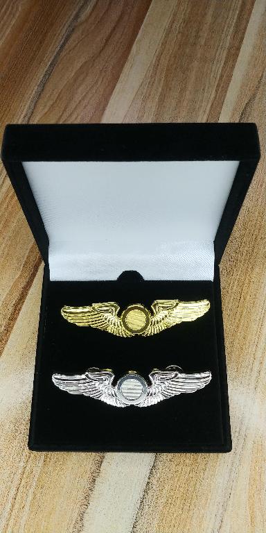 Pin de alas para piloto Foto 7283245-1.jpg