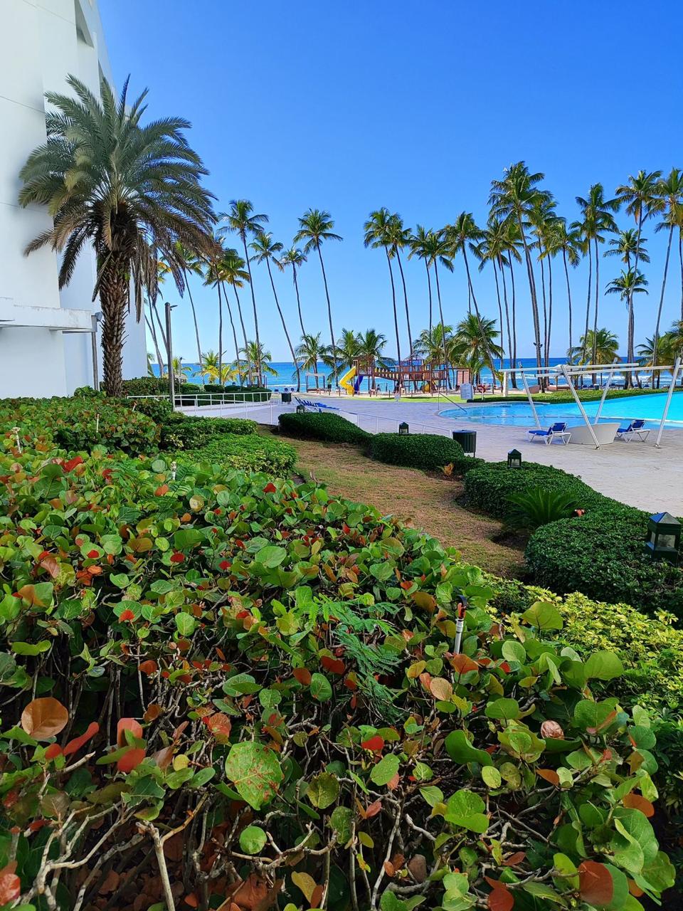 ????Hermoso Apartamento en PRIMERA Línea de Playa  Juan Dolio. Foto 7283963-4.jpg