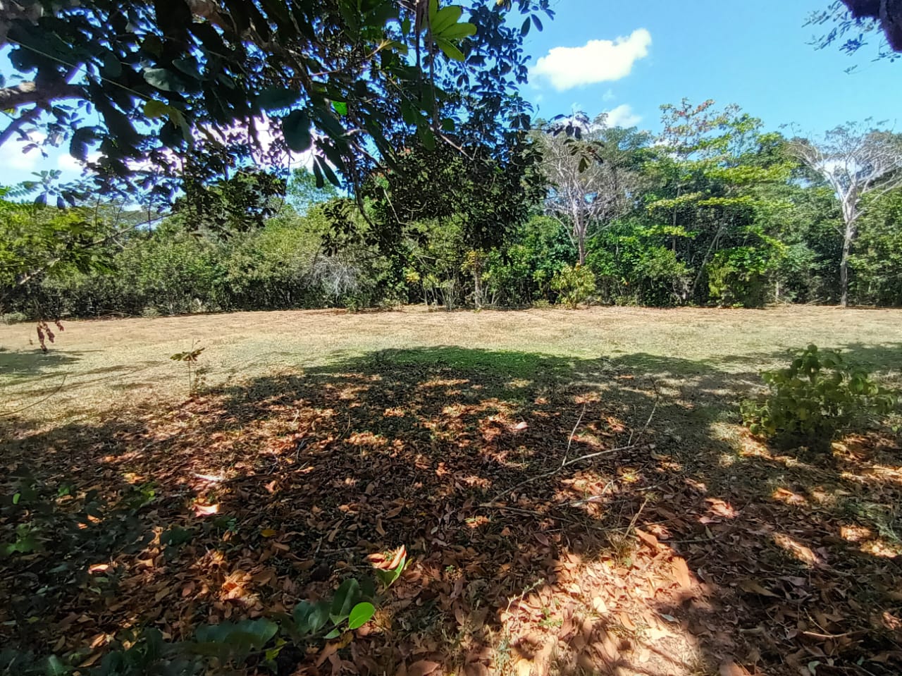 Finca de 1000 tareas con vocación agrícola y ganadera en Hacienda Estr Foto 7286714-6.jpg