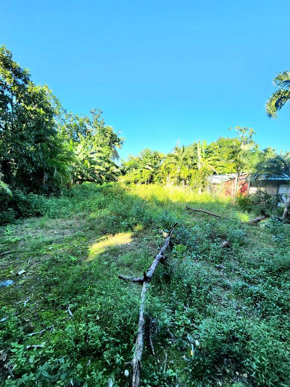 TERRENO EN VENTA  Foto 7287270-1.jpg