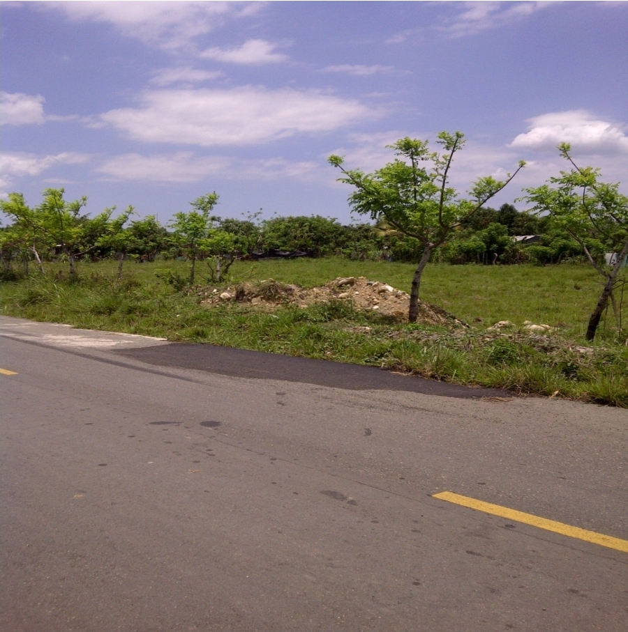 VENDO TERRENO DE 1500 MT2 FRENTE AL POLGONO INDUSTRIAL HATO NUEVO SERV Foto 7287722-4.jpg