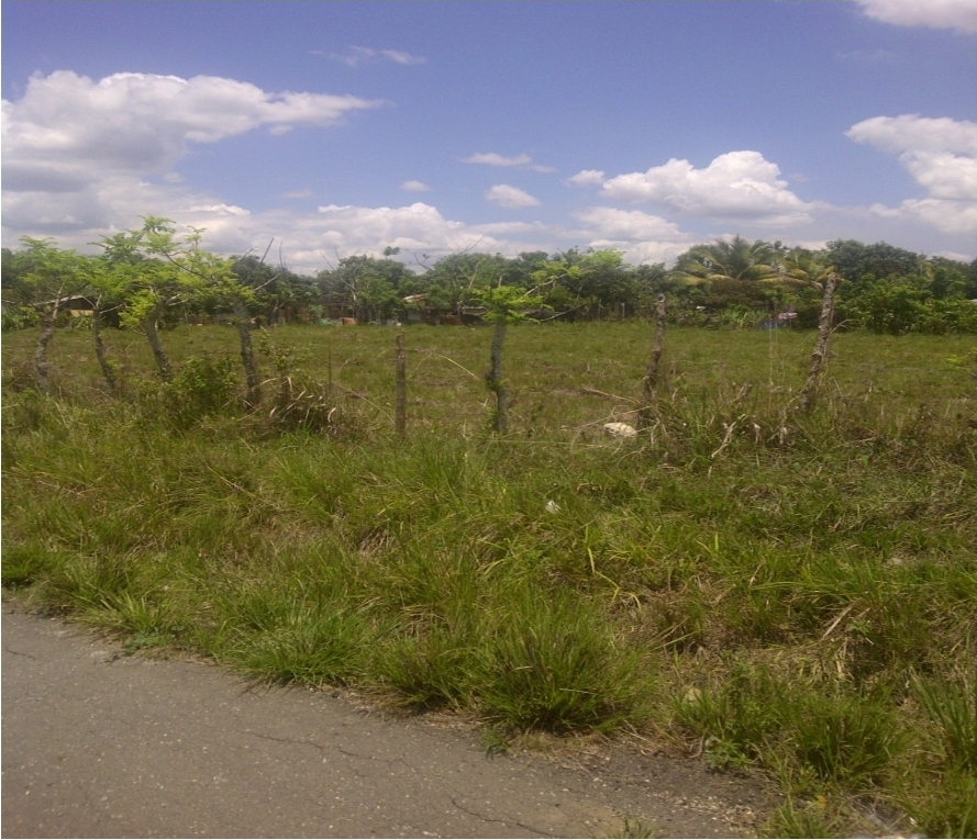 VENDO TERRENO DE 2000 MT2 FRENTE AL POLGONO INDUSTRIAL HATO NUEVO SERV Foto 7287723-4.jpg