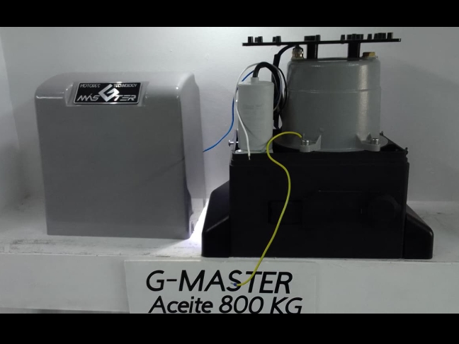 Motor eléctrico G-master de 800kg uso intensivo  Foto 7289183-1.jpg