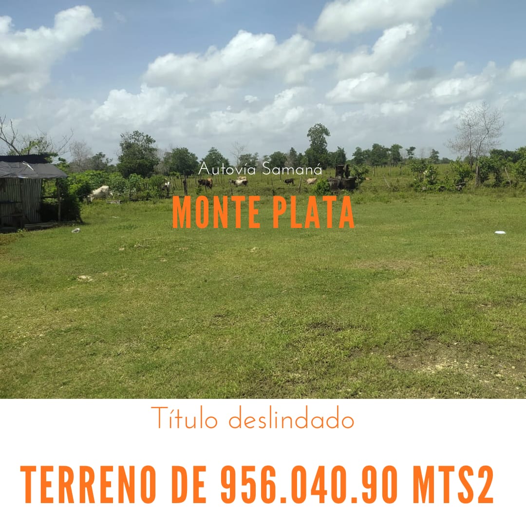 Terreno de 956000 Mts2 o finca de 1521 tareas con vocación agrícola y  Foto 7290199-1.jpg