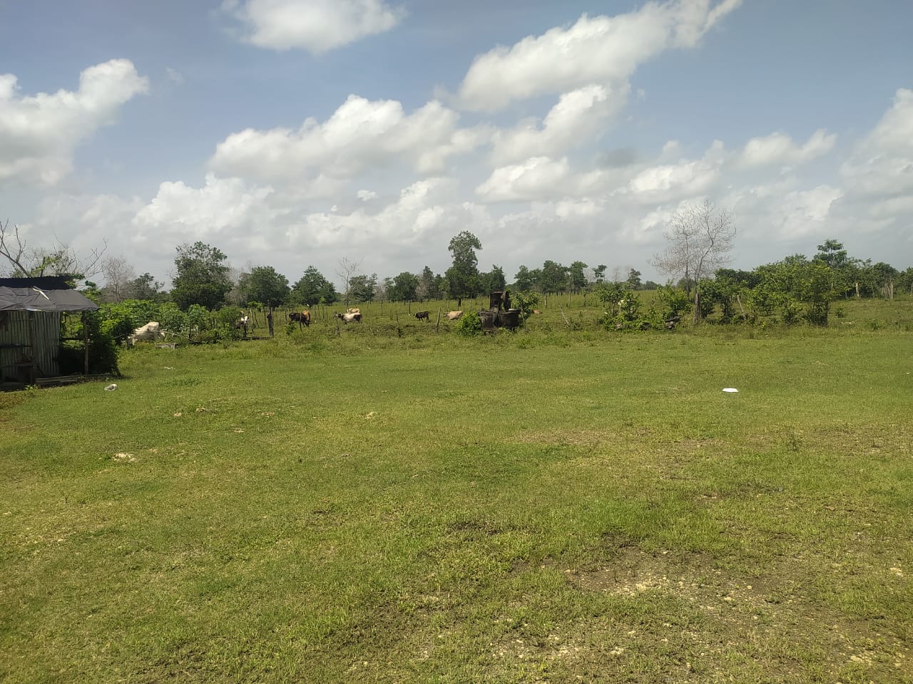 Terreno de 956000 Mts2 o finca de 1521 tareas con vocación agrícola y  Foto 7290199-2.jpg