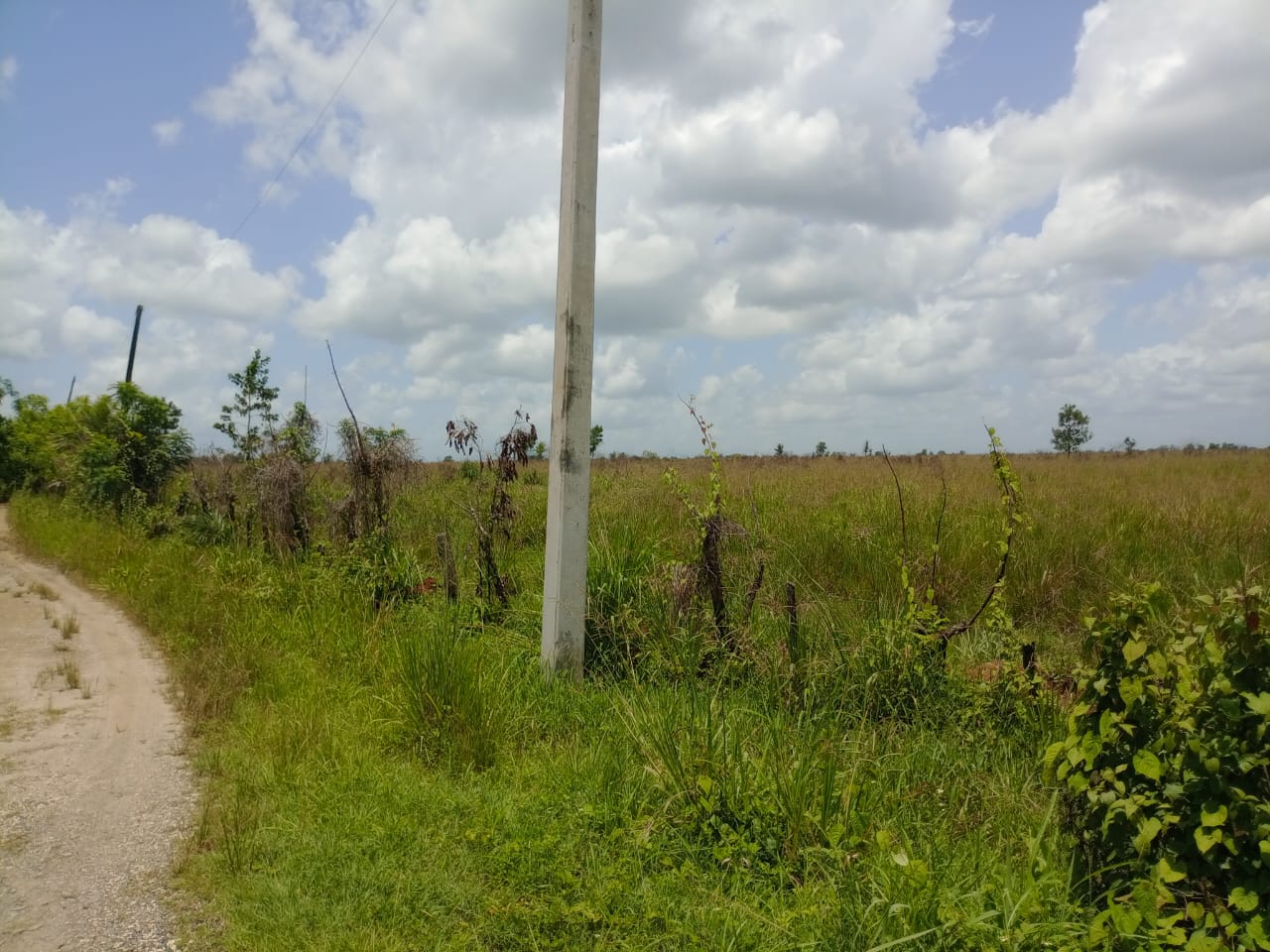 Terreno de 956000 Mts2 o finca de 1521 tareas con vocación agrícola y  Foto 7290199-4.jpg