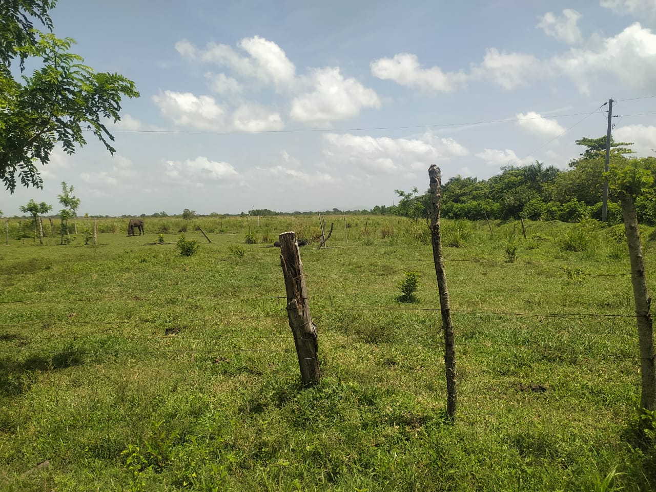 Terreno de 956000 Mts2 o finca de 1521 tareas con vocación agrícola y  Foto 7290199-5.jpg