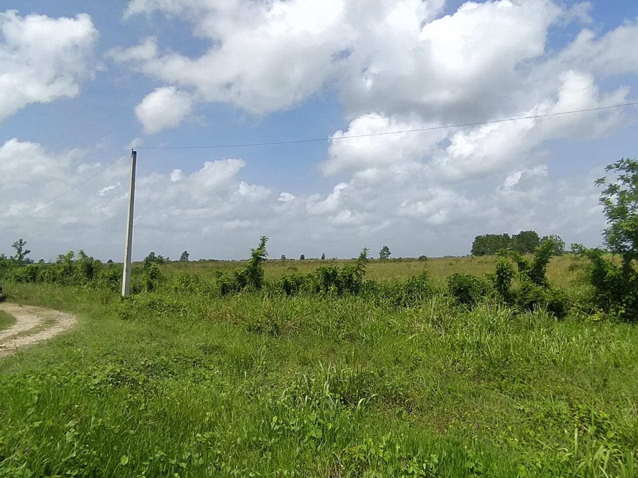 Terreno de 956000 Mts2 o finca de 1521 tareas con vocación agrícola y  Foto 7290199-6.jpg