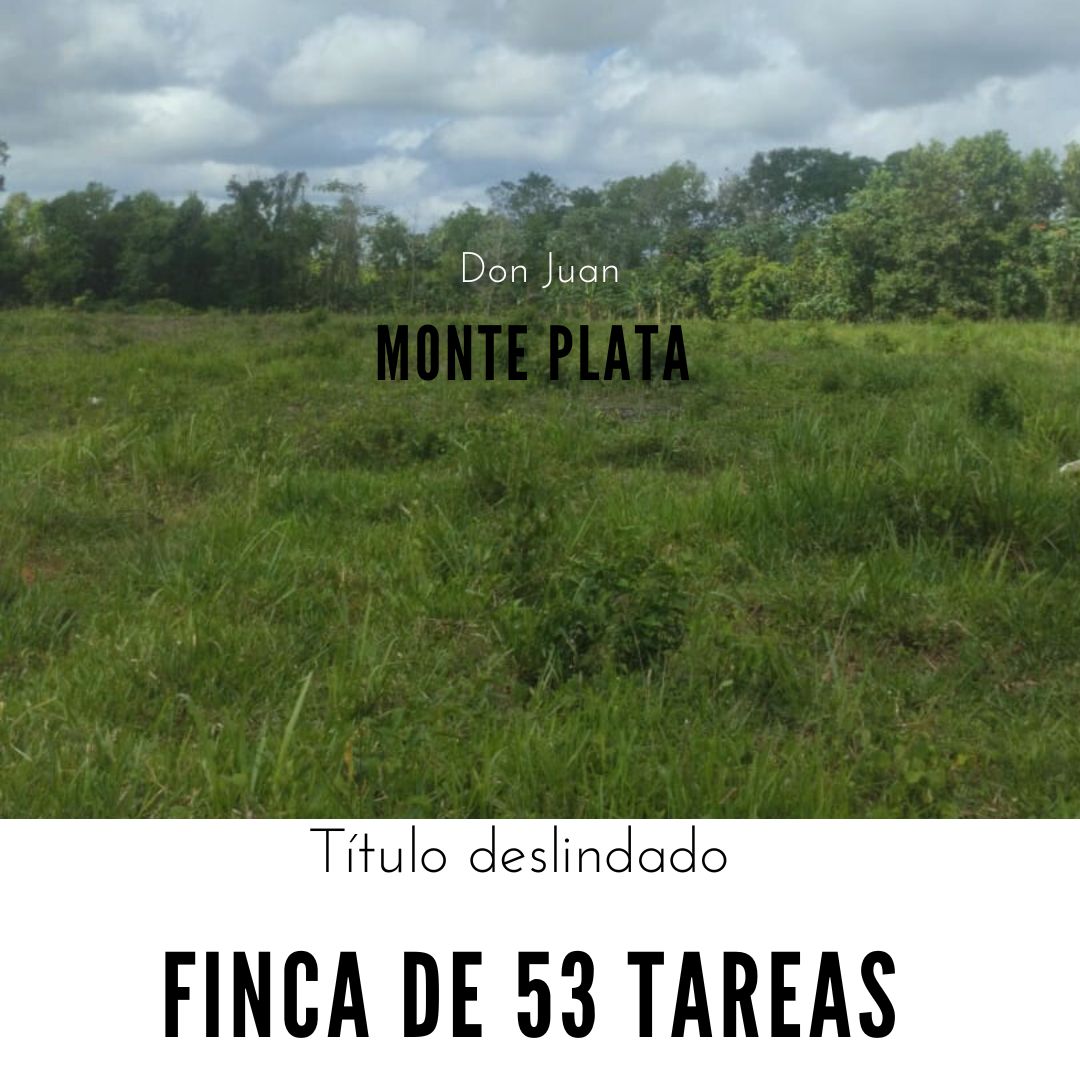Finca de 53 TAREAS con vocación agrícola y ganadera en Monte Plata Foto 7290206-1.jpg