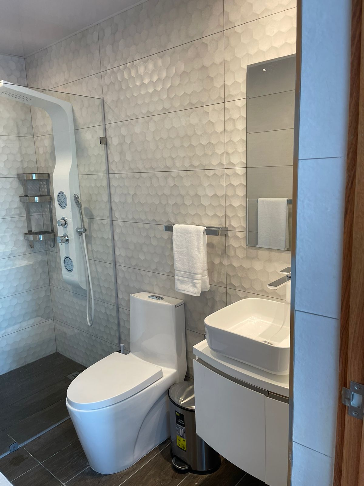 Apartamento en Alquiler en Piantini de 1 Habitacion Foto 7294267-7.jpg