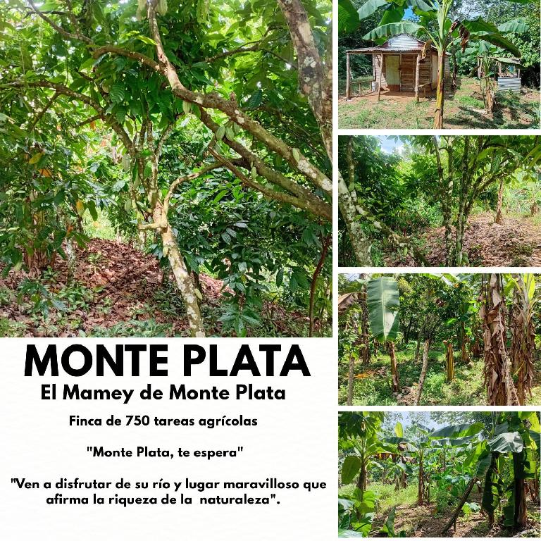 Finca de 750 tareas agrícolas con casa y granja de pollo en Monte Plat Foto 7300444-1.jpg