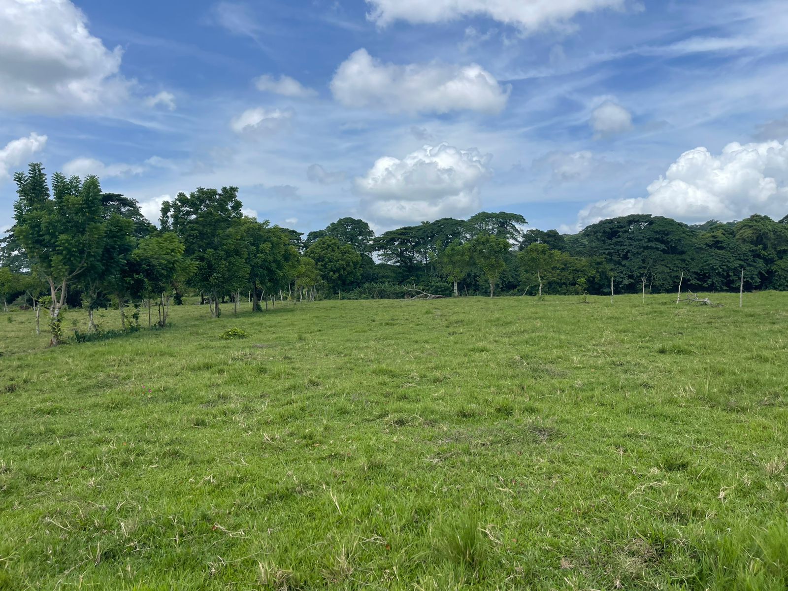 Finca de 96 tareas ganaderas y agrícolas con hermoso río totalmente ll Foto 7300445-5.jpg