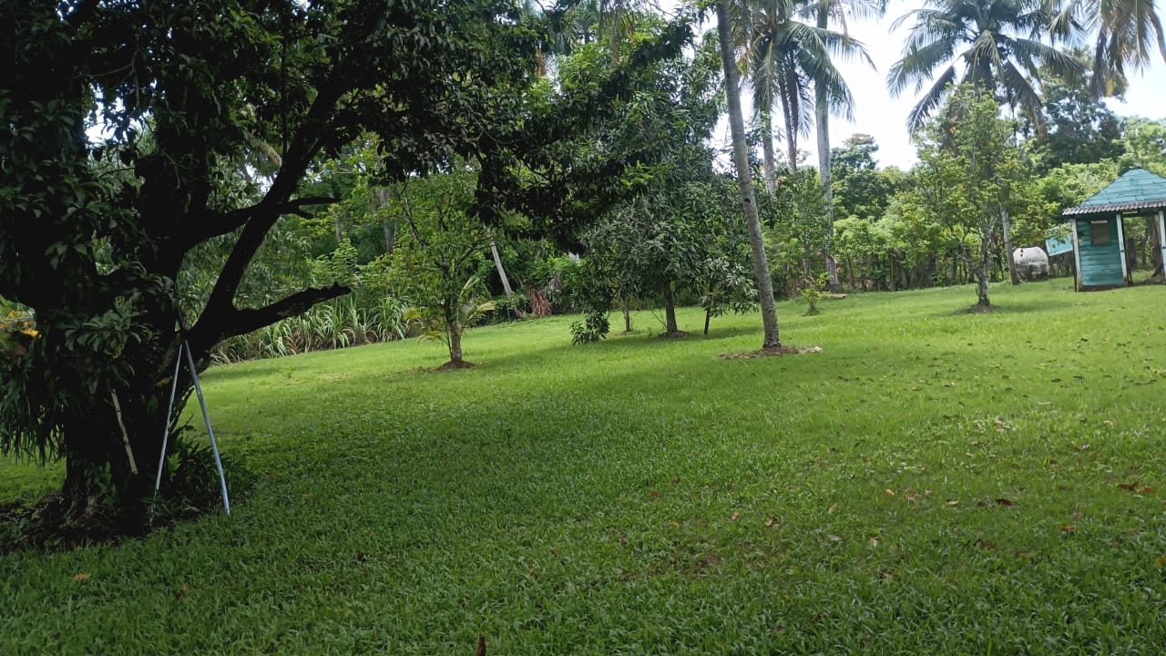 Finca de 250 tareas recreativas con vocación Agrícola en Hará Nacional Foto 7303621-10.jpg