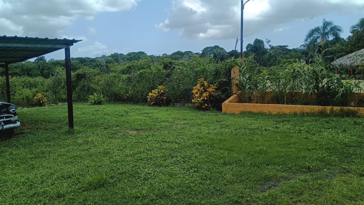 Finca de 250 tareas recreativas con vocación Agrícola en Hará Nacional Foto 7303621-7.jpg