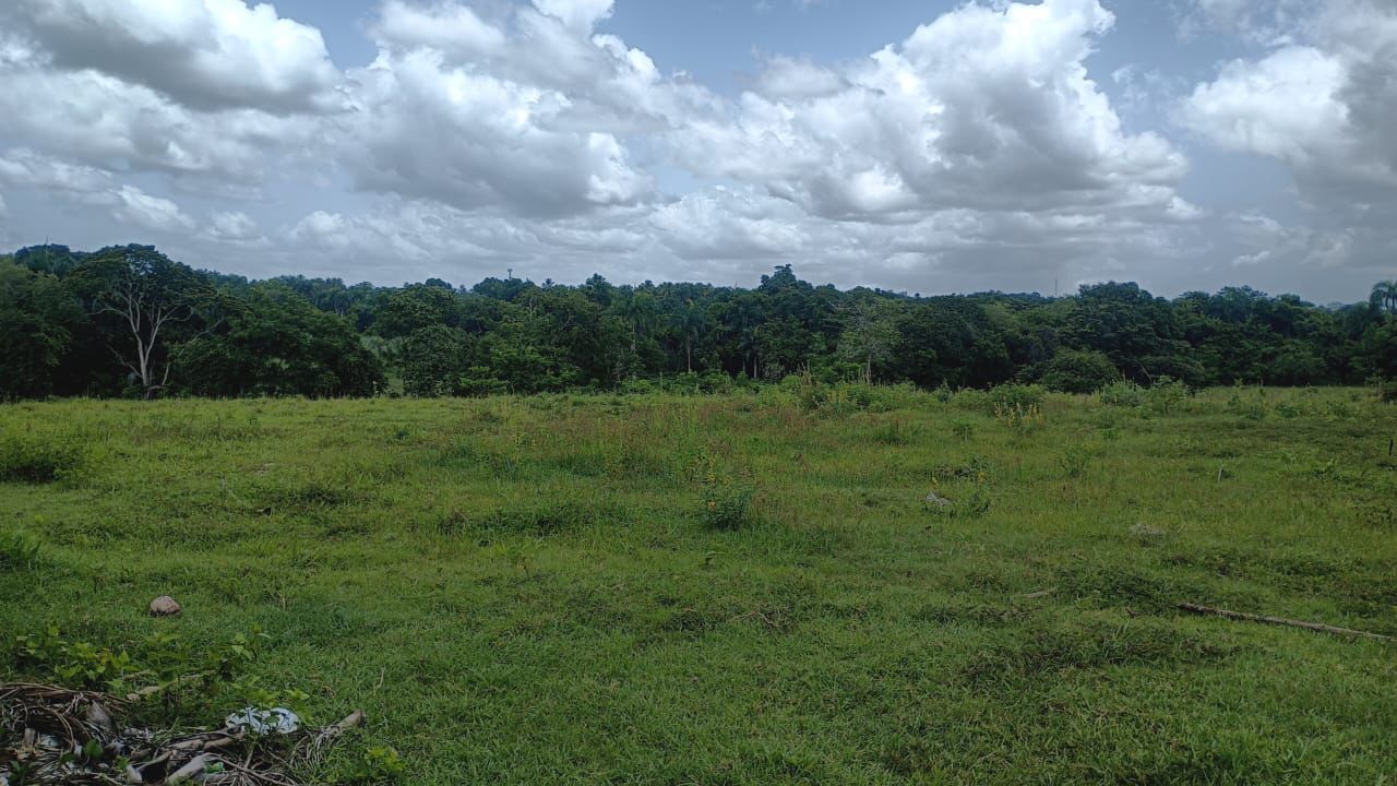 Finca de 250 tareas recreativas con vocación Agrícola en Hará Nacional Foto 7303621-8.jpg
