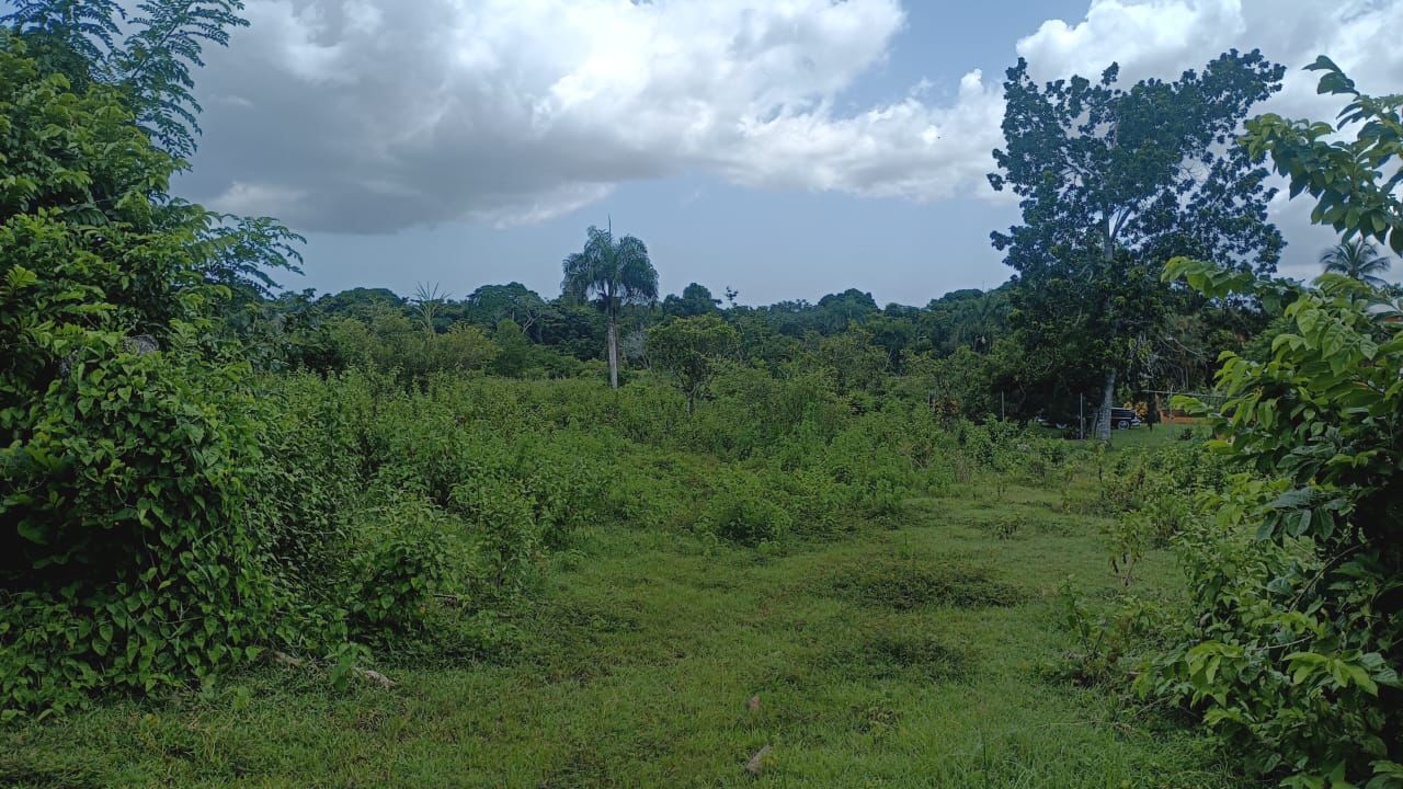 Finca de 250 tareas recreativas con vocación Agrícola en Hará Nacional Foto 7303621-9.jpg