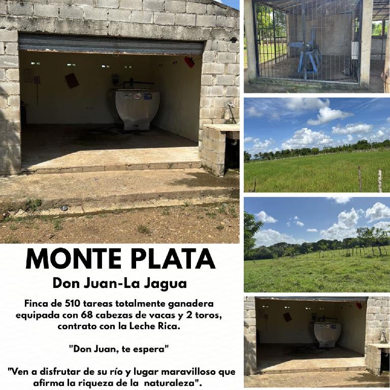Oportunidad finca de 510 tareas totalmente Ganadera equipada con 68 ca Foto 7303622-1.jpg