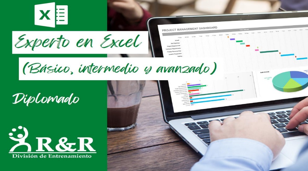 DIPLOMADO EXPERTO EN EXCEL en Santo Domingo DN Foto 7304098-1.jpg