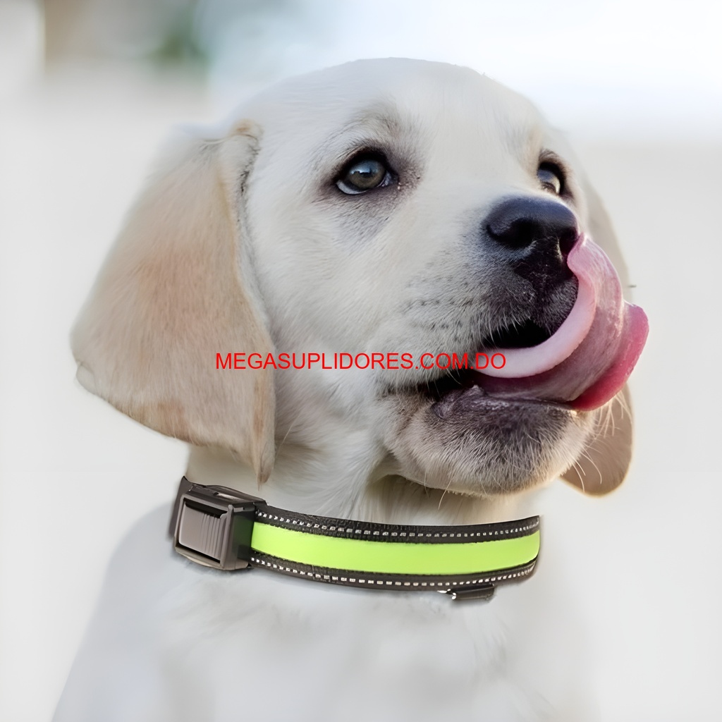  Collar Solar LED para Perro Iluminado Seguridad Nocturna 40cm/50cm Foto 7304741-1.jpg