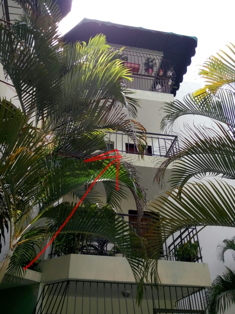Alquilo espacioso y fresco Apartamento en Distrito Nacional con excele Foto 7306842-1.jpg