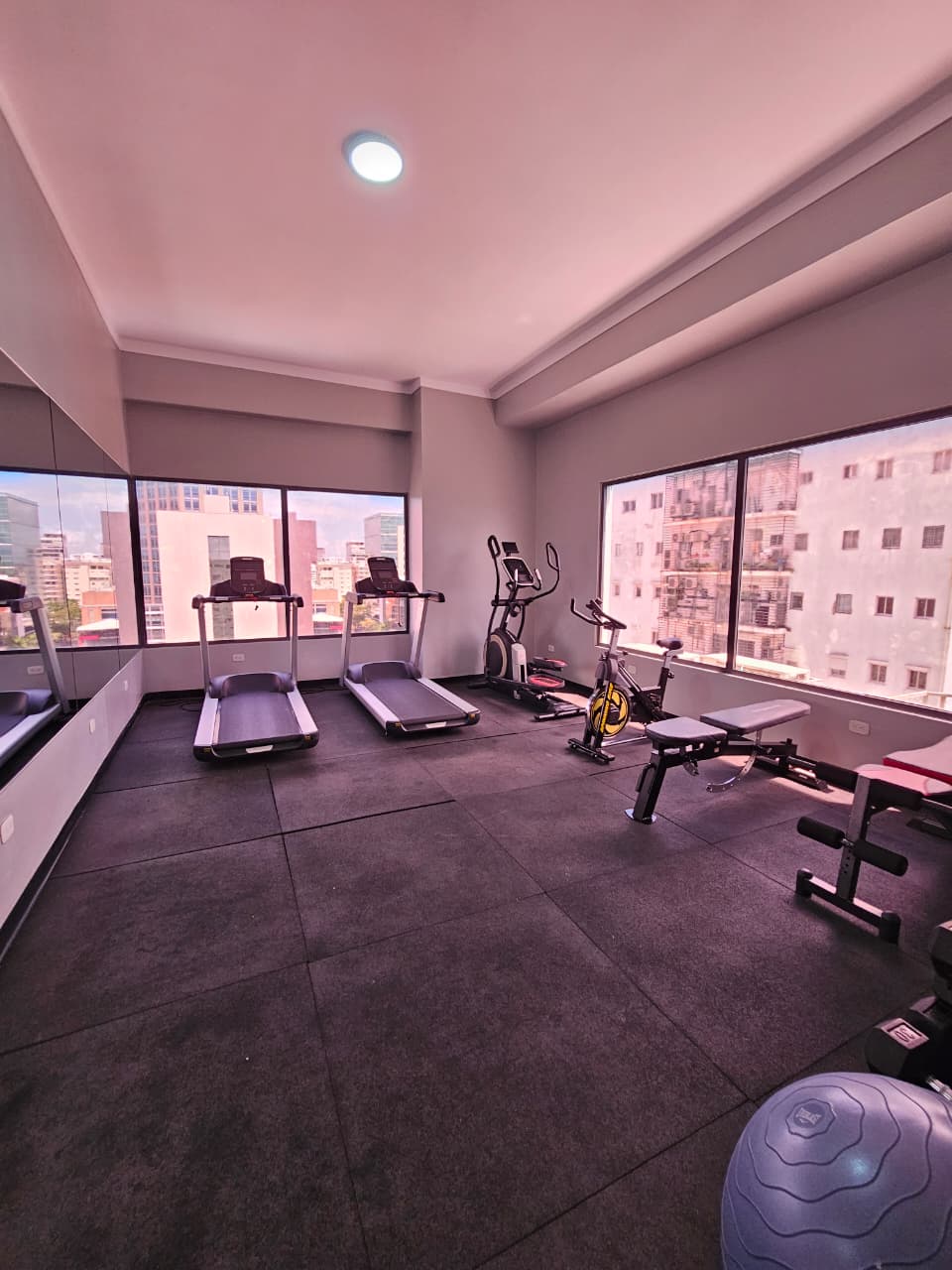 Apartamento Amueblado en Alquiler  Evaristo Morales   Foto 7308162-14.jpg