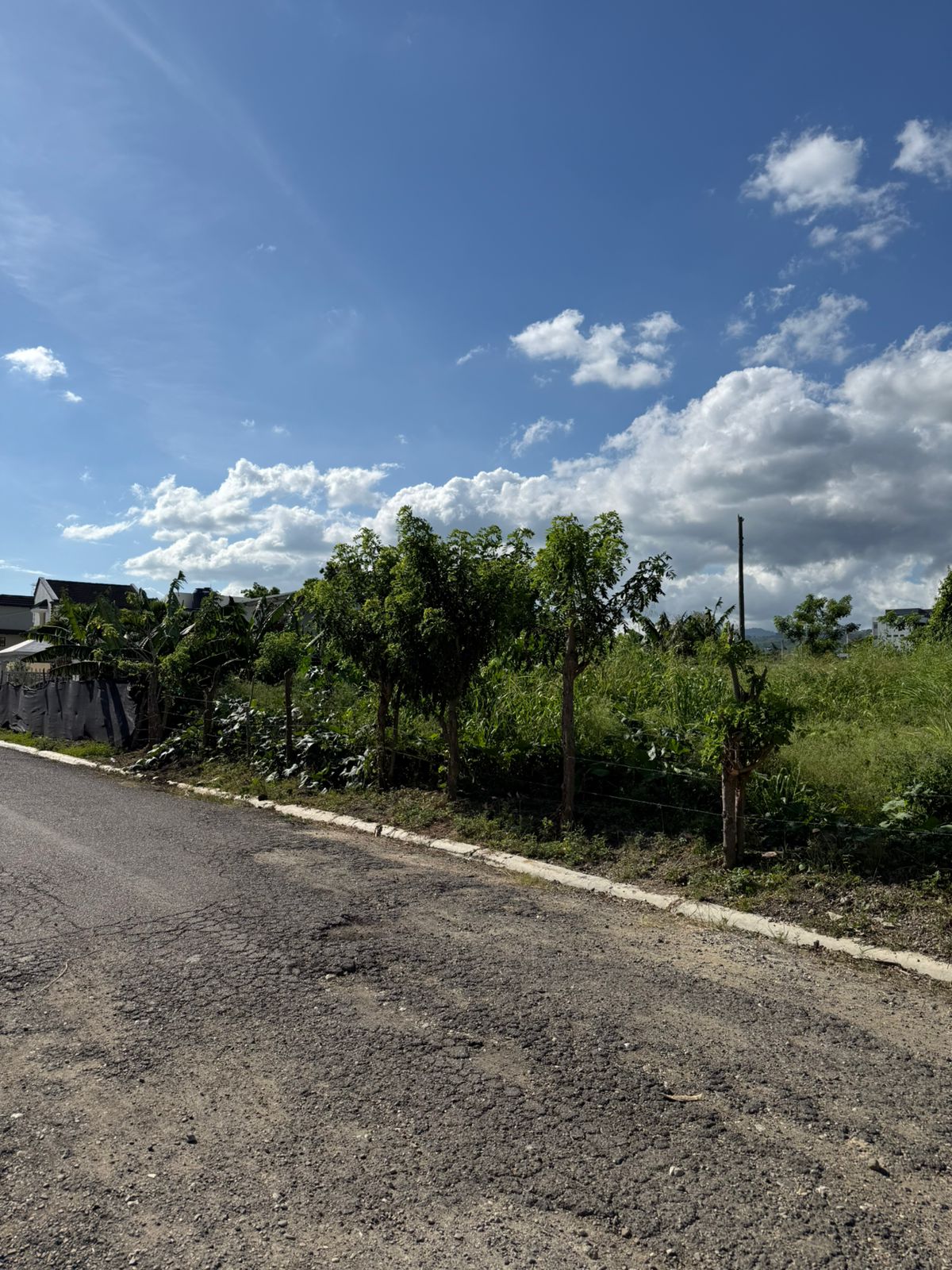 ???? VENTA DE SOLARES EN LLANOS DE GURABO SANTIAGO ???? Foto 7313287-5.jpg