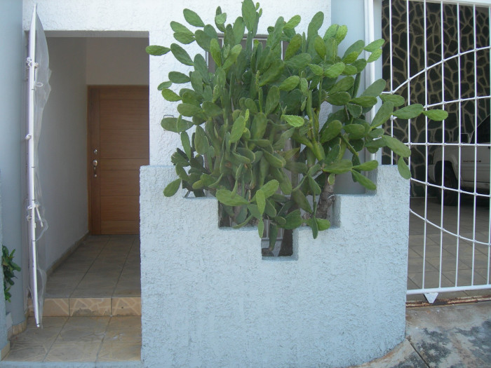 Casa Amueblada en Venta en La Romana Foto 7313664-8.jpg
