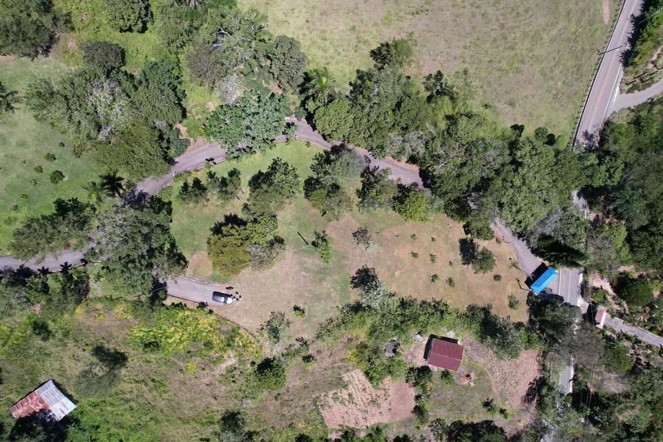 olar en Altos de la Floresta – Estancita Jarabacoa – 1331 m – Proyecto Foto 7313942-6.jpg