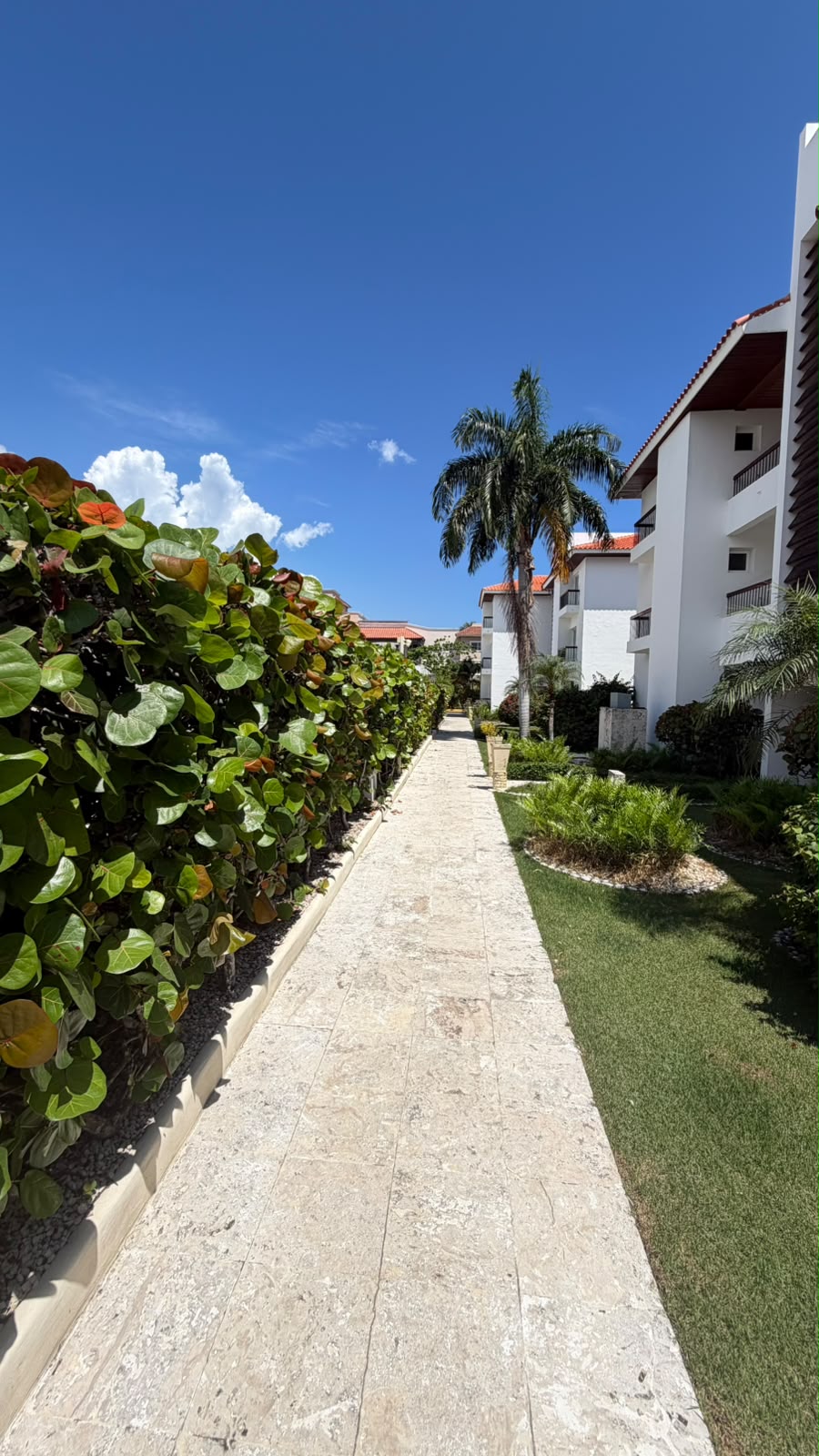 Apartamentos en Venta 2 Habitaciones en Bavaro  Foto 7314225-9.jpg