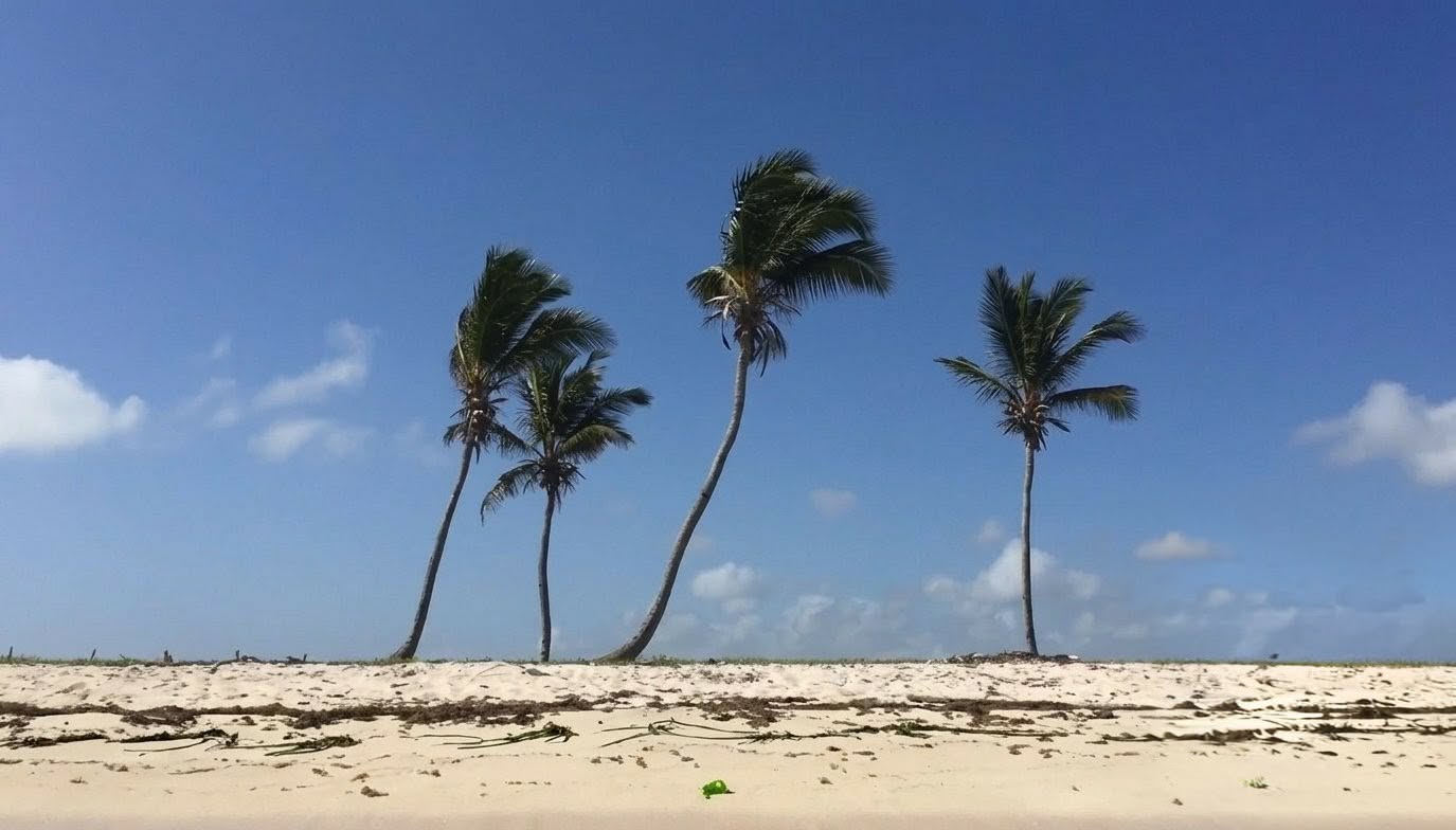 En Punta Cana Terreno en VENTA de 140000 metros con 1 Km de Playa y Co Foto 7314442-6.jpg