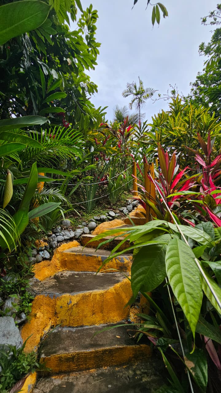 Vendo casa en las montañas de Bonao rio y piscina natural  Foto 7314544-4.jpg