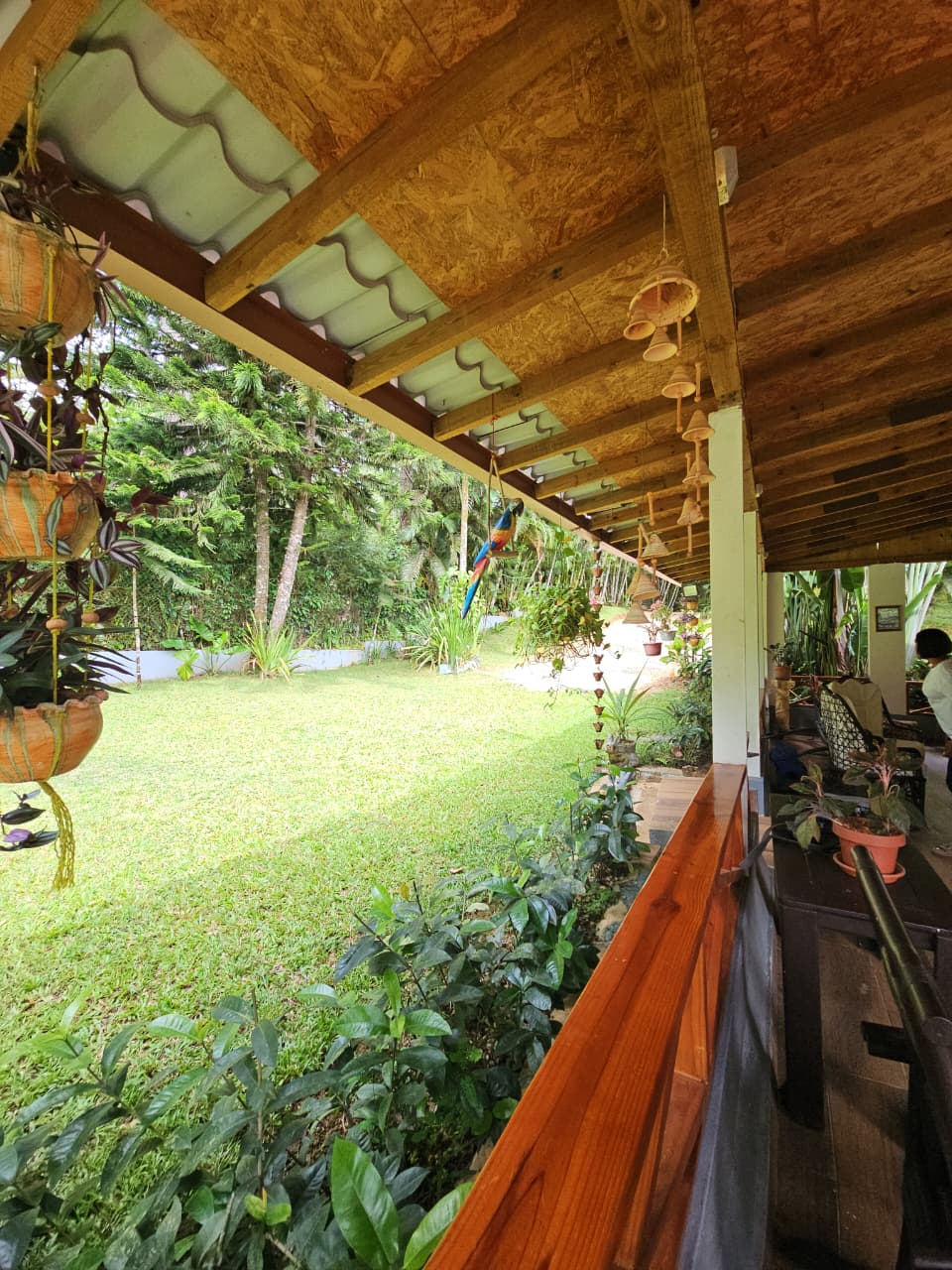 Vendo casa en las montañas de Bonao rio y piscina natural  Foto 7314544-7.jpg