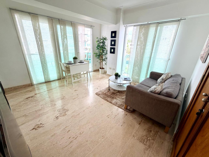 Apartamento Amueblado en Venta en Naco Foto 7314685-3.jpg