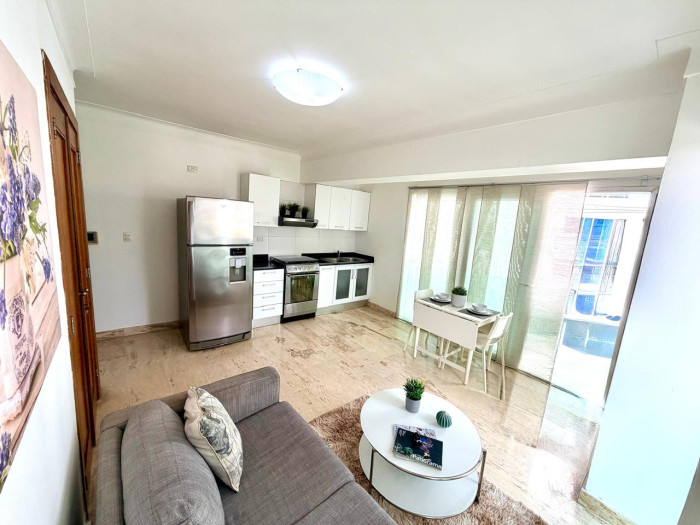 Apartamento Amueblado en Venta en Naco Foto 7314685-6.jpg