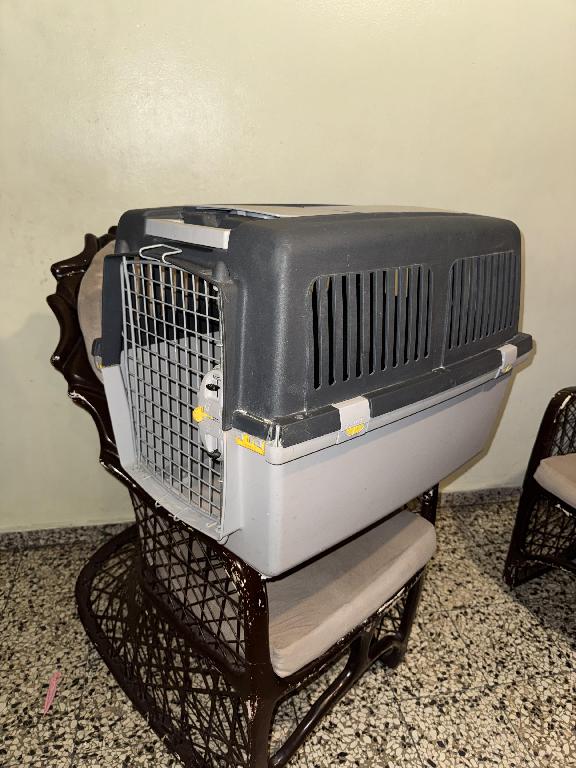 Jaula de transporte para perro Foto 7314720-1.jpg