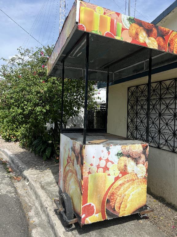 Se vende carrito de empanadas o fritura  en Monseñor Nouel Foto 7314733-1.jpg