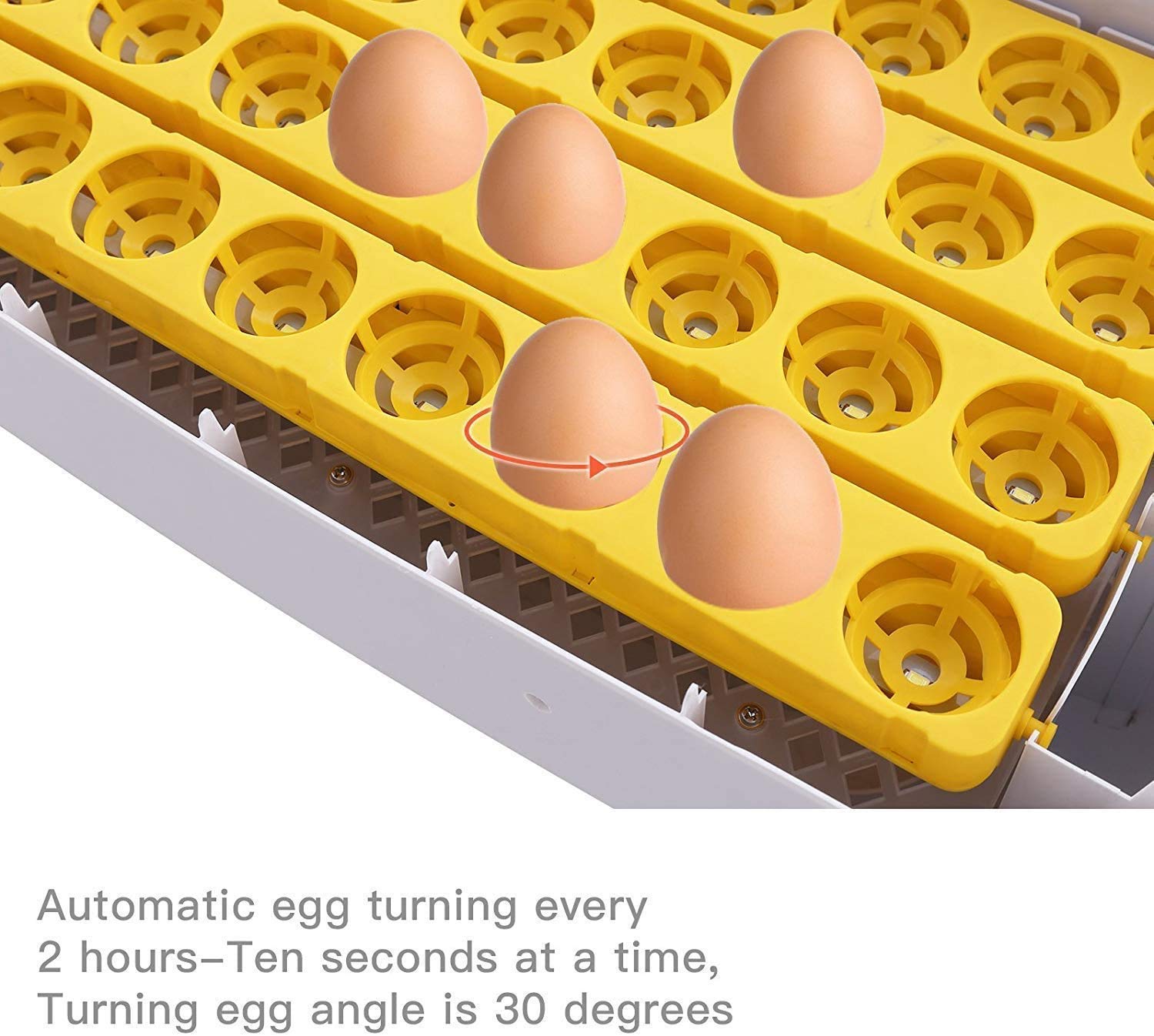 Incubadoras de 48 huevos digital automatico para Pollo Pato Aves de co Foto 7315789-7.jpg