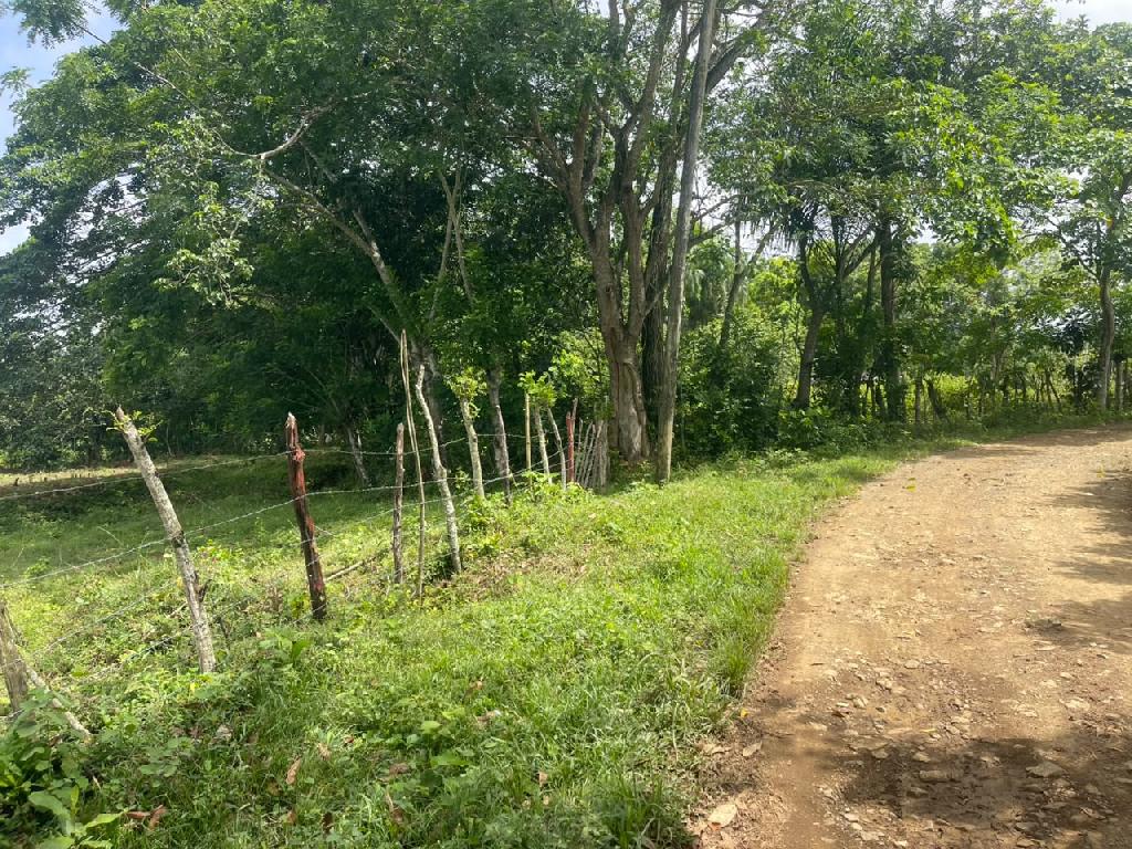 Vendo Finca GANADERA – AGRICOLA de 50 tareas en DON JUAN MONTE PLATA Foto 7316001-4.jpg
