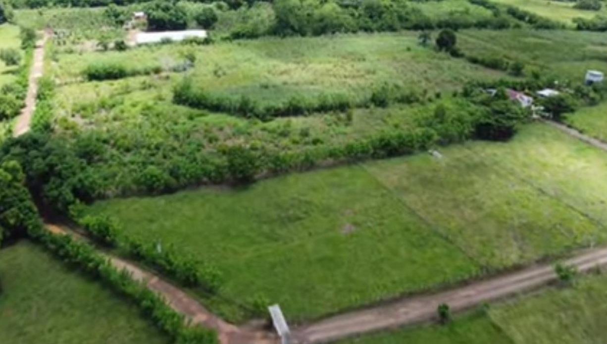 Vendo SUPER Finca Ganadera y Agrícola 300 Tareas en Don Juan Monte Pla Foto 7316180-4.jpg
