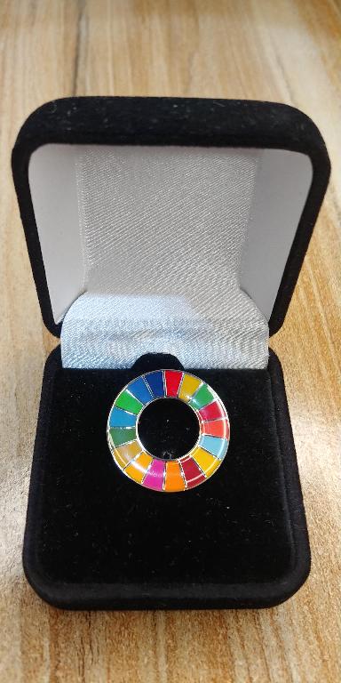 Pin agenda 2030 en Santo Domingo  Foto 7316186-1.jpg