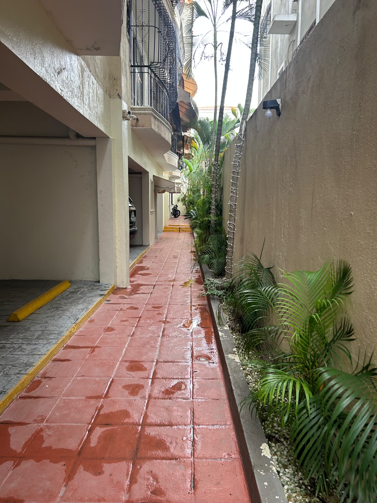 Apartamento en Alquiler  El Millón Foto 7316213-11.jpg
