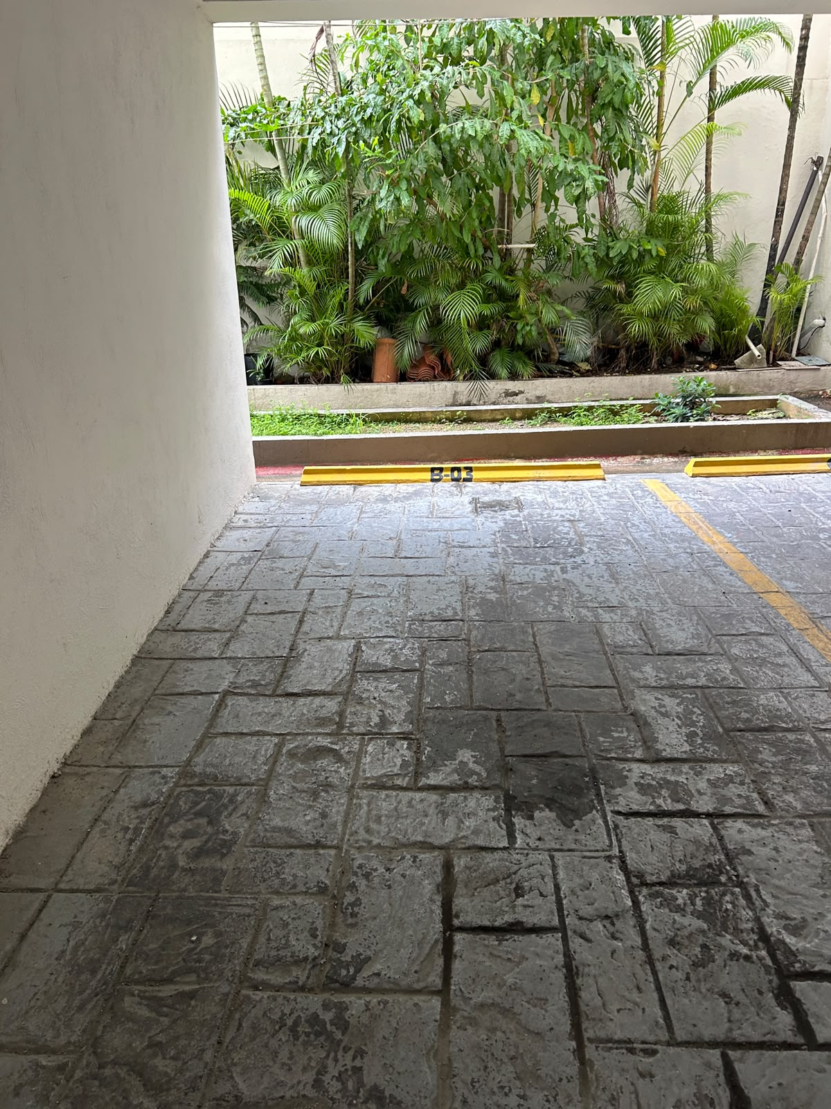 Apartamento en Alquiler  El Millón Foto 7316213-12.jpg