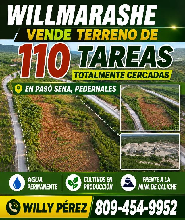Vendo terreno en pedernales de 110 tareas Foto 7316814-1.jpg