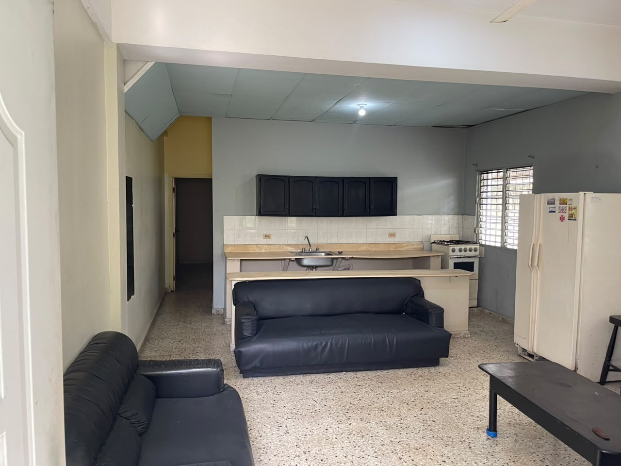 Alquiler de apartamento 1 habitacion Gazcue Foto 7316821-1.jpg
