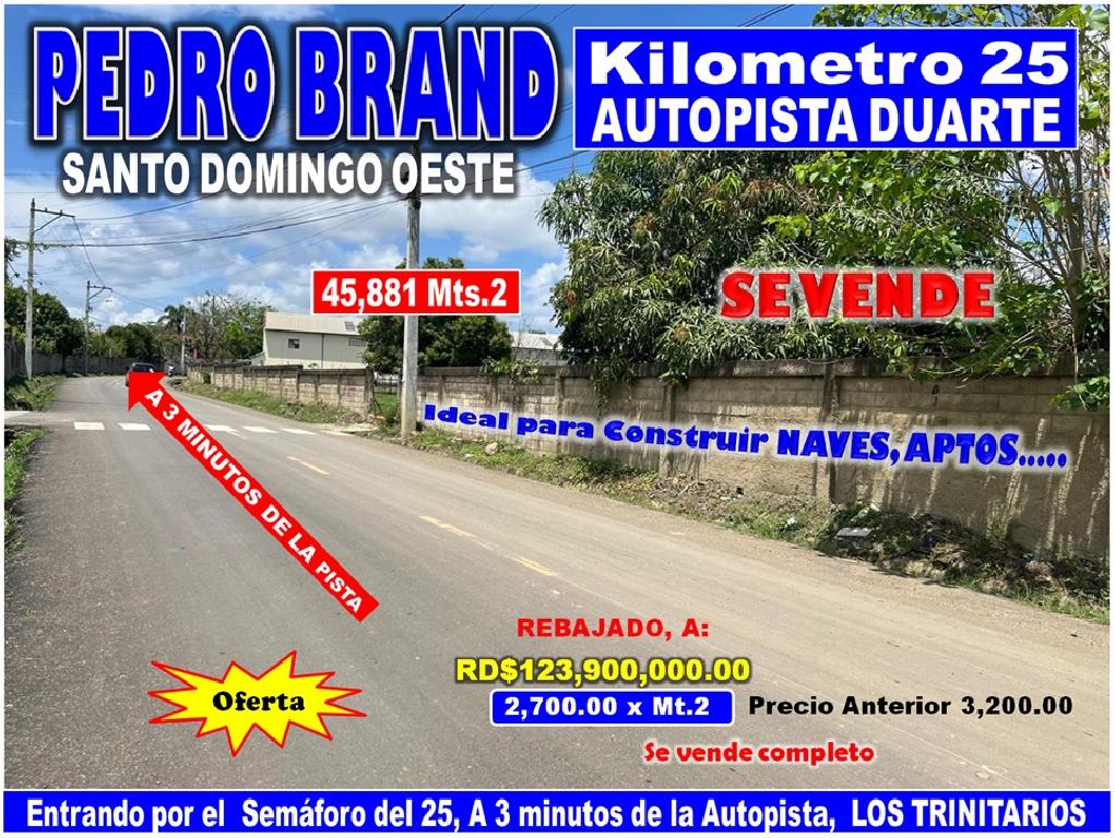 Vendo Terreno para NAVES APTOS en PEDRO BRAND 45881 Mts.2 REBAJADA a 3 Foto 7317342-1.jpg