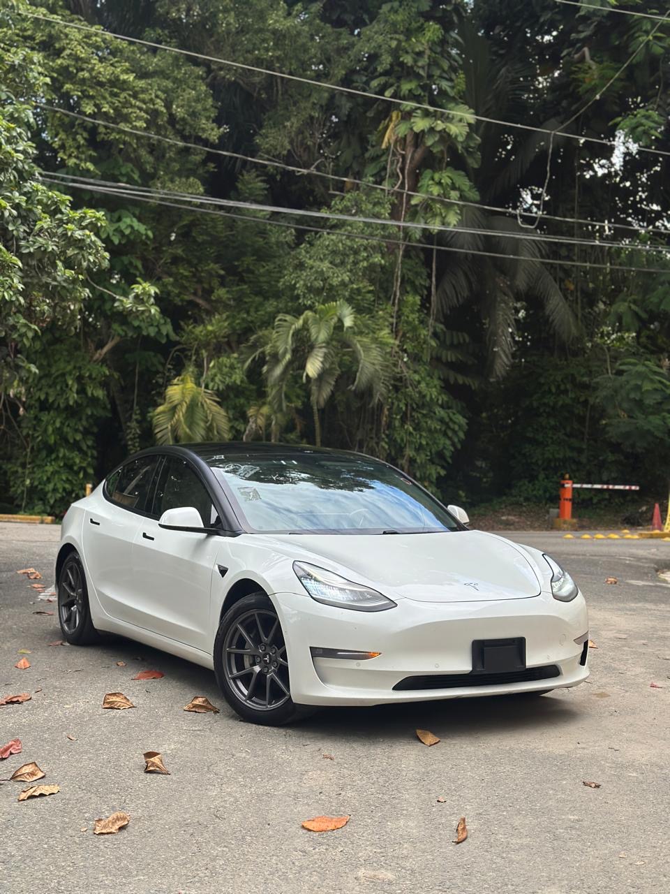 Tesla 3 Long Range 2021  Foto 7317354-4.jpg