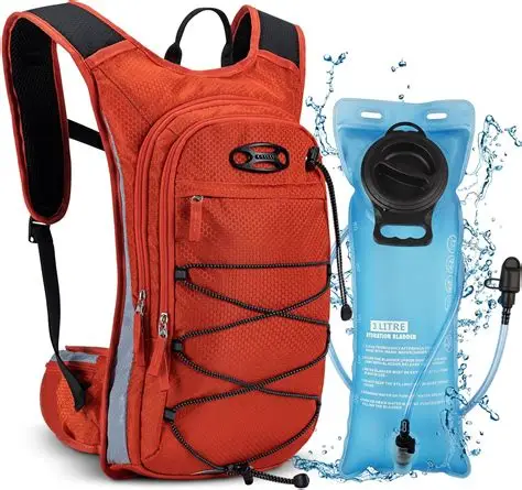 MOCHILA DE AGUA DOBLE 2 LITROS Foto 7317590-1.jpg