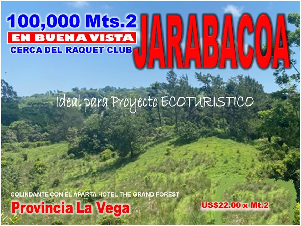 Vendo 100000 Mts.2 de Terreno en BUENA VISTA JARABACOA Cerca del RAQUE Foto 7318687-1.jpg